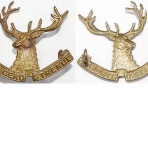 B05/068. 10th (NELSON) MOUNTED RIFLES, cap badge