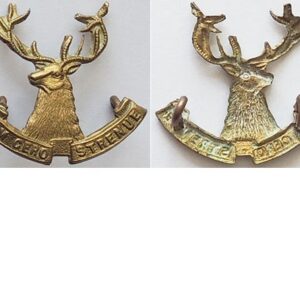 B05/070. 10th (NELSON) MOUNTED RIFLES, left collar badge, brass
