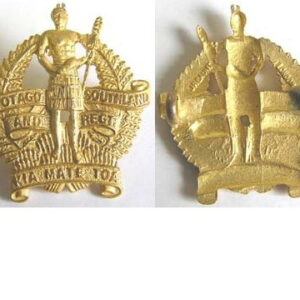 B06/045. OTAGO AND SOUTHLAND REGIMENT right collar, gilt