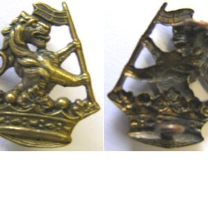 B06/056a. 1st BATTALION (WELLINGTON) REGIMENT right collar brass