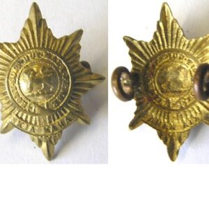 B06/065. 6th (HAURAKI) REGIMENT left collar badge, brass