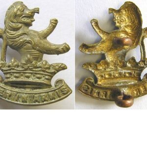 B06/074a. 7th (WELLINGTON W.C. RIFLES) REGt. right collar, brass