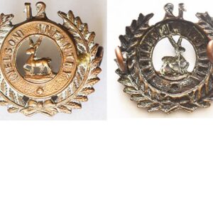 B06/117. 12th (NELSON) REGIMENT bronze left collar badge