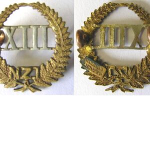 B06/134. 13th (N.CANTERBURY & WESTLAND) REGt. bi-metal collar