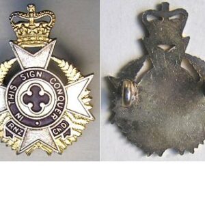 B08/103. ROYAL NZ CHAPLAINS DEPT NZ type collar with fern leaves
