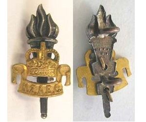 B08/138. N.Z. ARMY EDUCATION CORPS gilt & silver collar badge