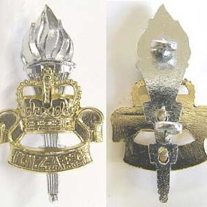 B08/135. R.N.Z. ARMY EDUCATION CORPS anodised cap badge