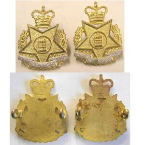 B08/251. ROYAL NZ NURSING CORPS, gilt/silver collar