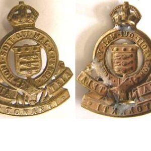 B08/264. ROYAL NZ ARMY ORDNANCE CORPS brass cap badge