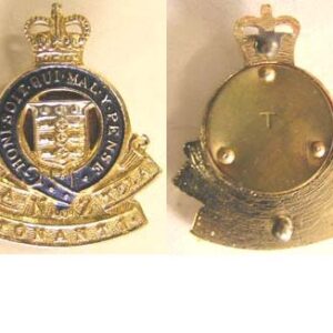 B08/281. ROYAL NZ ARMY ORDNANCE CORPS coloured anodised collar