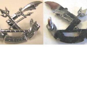 B08/326. NZ REGULAR FORCE CADETS chromed cap/collar badge