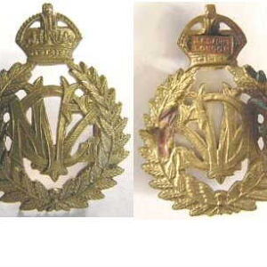 B08/362. NZ VETERINARY CORPS brass cap badge, fern leaf wreath