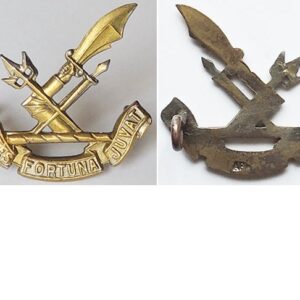 B08/323. NZ REGULAR FORCE CADETS, brass cap/left collar badge