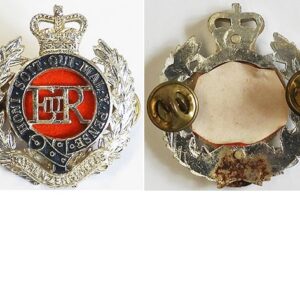 B08/164. ROYAL N.Z. ENGINEERS, anodised cap badge