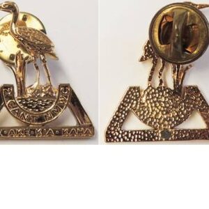 B09/010 . 2nd BN. (CANTERBURY, NELSON MARLB. WC) RNZIR collar