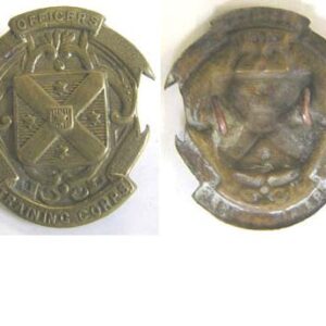 B10/023. OTAGO UNIVERSITY MEDICAL COMPANY brass cap badge