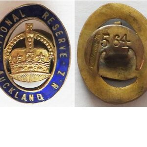 B11/006. NATIONAL RESERVE AUCKLAND NZ lapel badge, #564