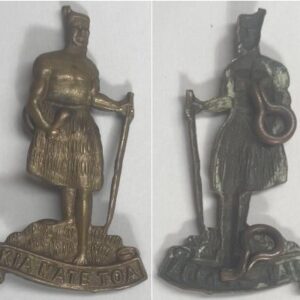 B06/081a. 8th (SOUTHLAND RIFLES) REGT. cap, tip of spear missing