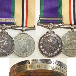 CM0662. BRITISH NORTHERN IRELAND AND IRAQ PAIR - ROYAL LOGISTICS