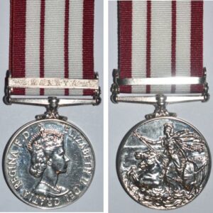 CM0558. N.G.S. EIIR clasp MALAYA – Unamed