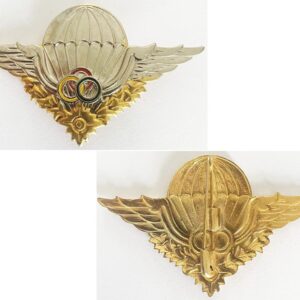 CSF008. CAMBODIA PARA INSTRUCTOR WINGS – Local, 1990's