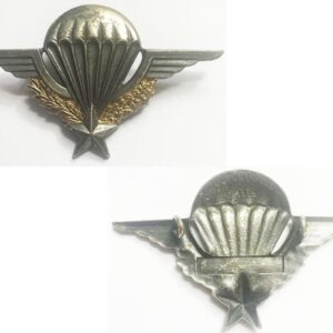 CSF038. FRENCH PARATROOP WINGS,maker marked Y DELSART-SENS G1185