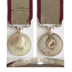 ESA033. NZ TERRITORIAL SERVICE MEDAL, William Dibble type - Spec