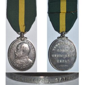 ESA046. TERRITORIAL FORCE EFFICIENCY MEDAL EVIIR –  4/Dorset R.