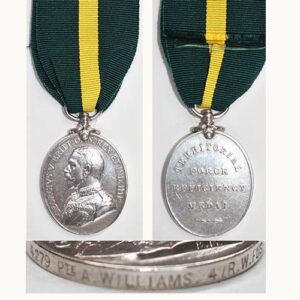 ESA048. TERRITORIAL FORCE EFFICIENCY MEDAL GVR - 4.Rl. Welsh Fus