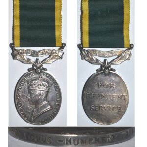 ESA056. EFFICIENCY MEDAL TERRITORIAL GVIR (Type 2) – Lieutenant 