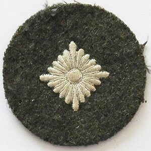 GC1251. WEHRMACHT SENIOR PRIVATE SLEEVE PIP, field grey wool