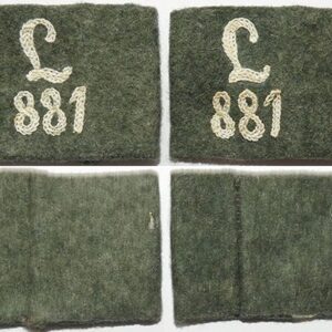 GC1245. PAIR 881 REGIONAL DEFENCE BATTALION SLIP-ON NUMBERS