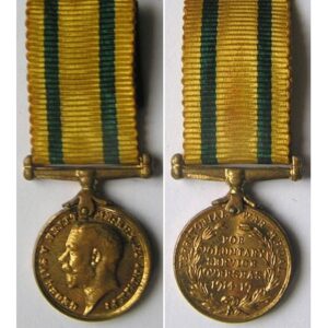 MIN1298. Miniature Territorial Forces War Medal 1914-19