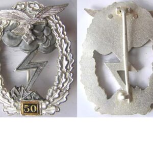 CY040. Copy LUFTWAFFE GROUND ATTACK BADGE for 50 engagements
