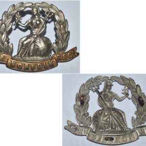 UKB1024. THE NORFOLK REGIMENT bi-metal cap badge